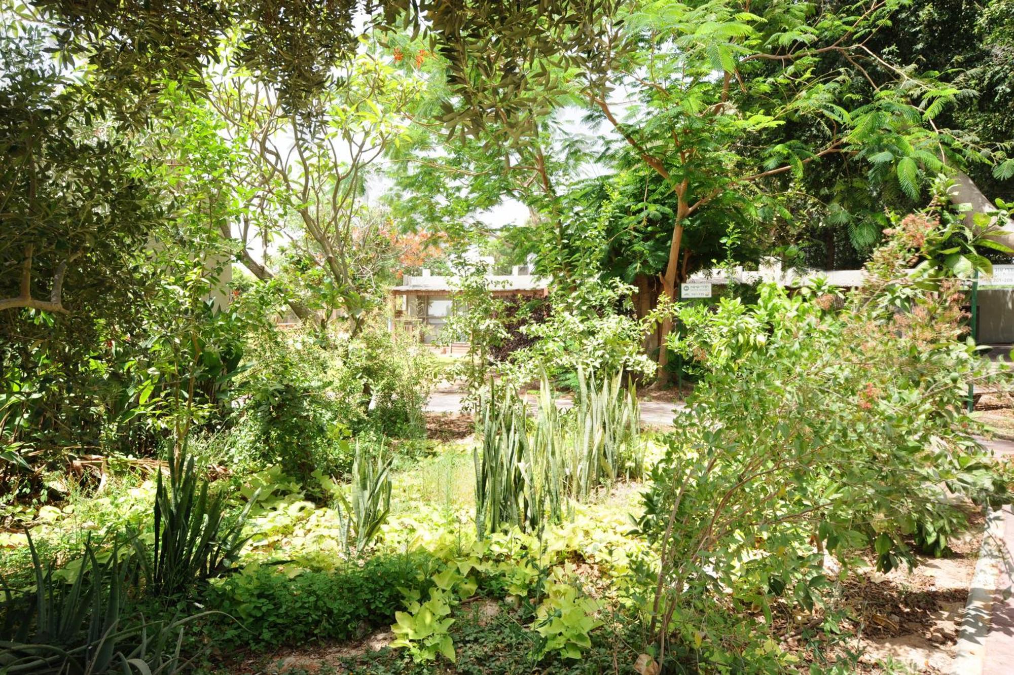 Almog Hotel מלון אלמוג