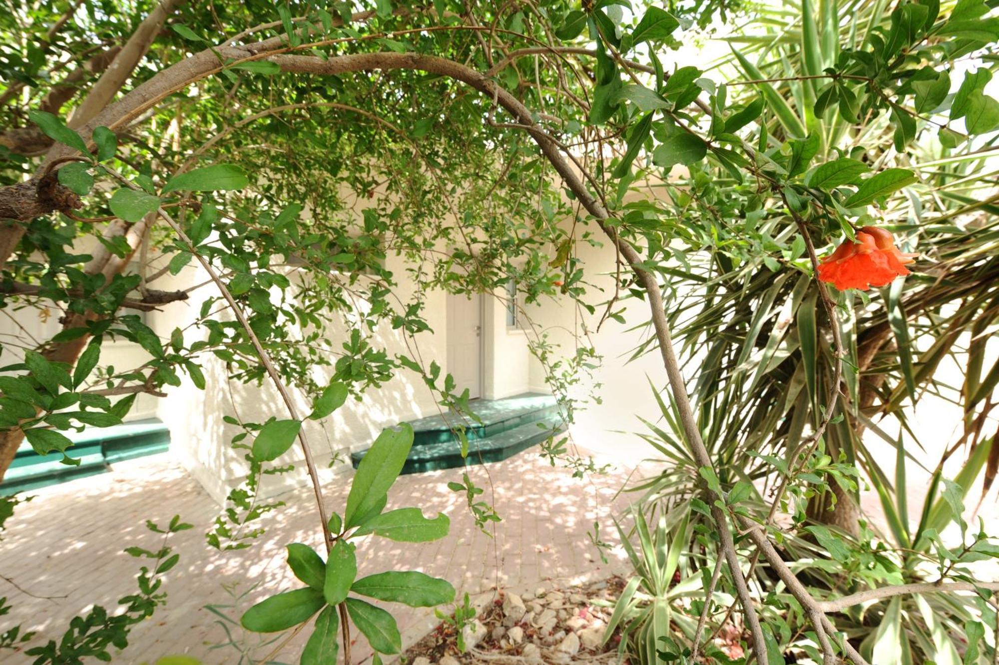 Almog Hotel מלון אלמוג